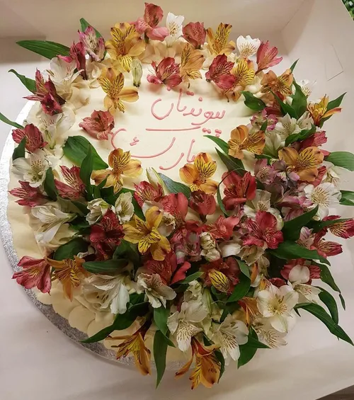 Daily baked pastries